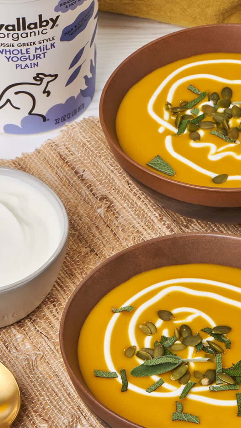 Wallaby's Butternut Squash Soup With Yogurt Drizzle Recipe